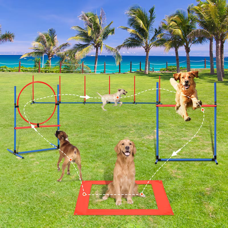 Equipo de entrenamiento para perros