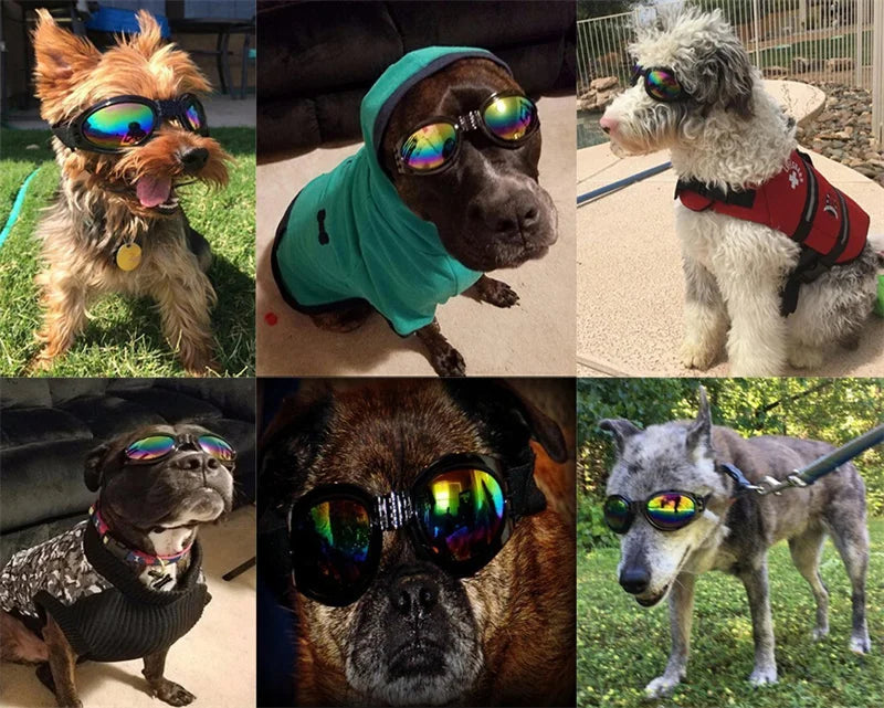 Gafas de sol acolchadas ajustables para perros