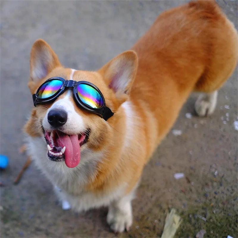 Gafas de sol acolchadas ajustables para perros