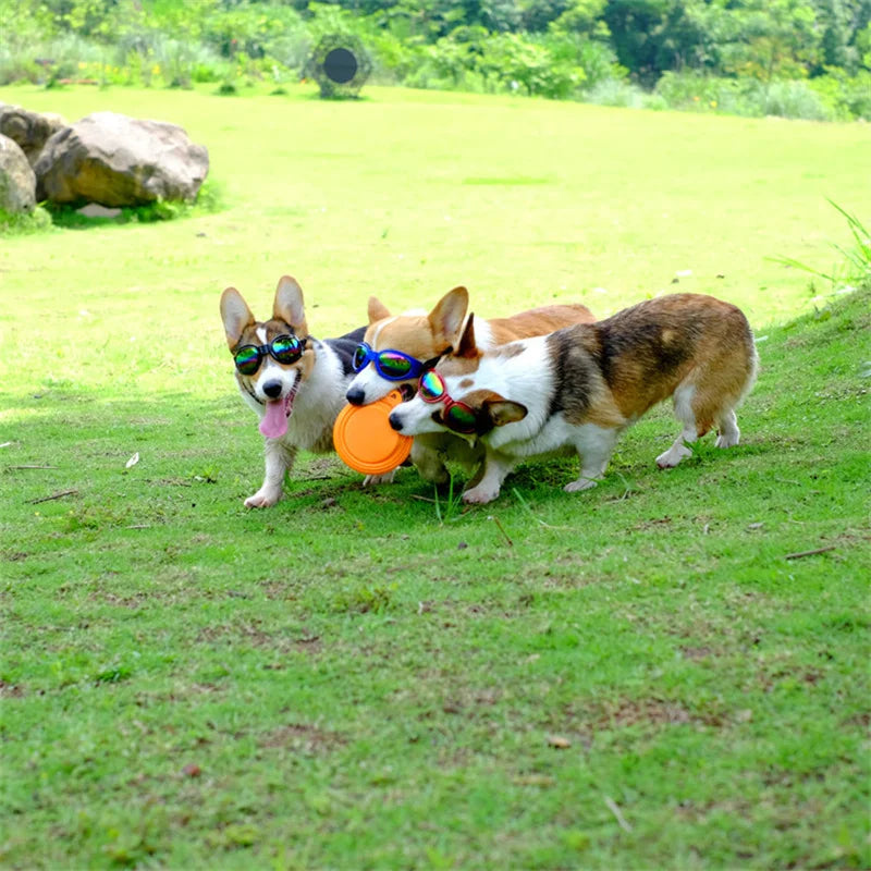 Gafas de sol acolchadas ajustables para perros