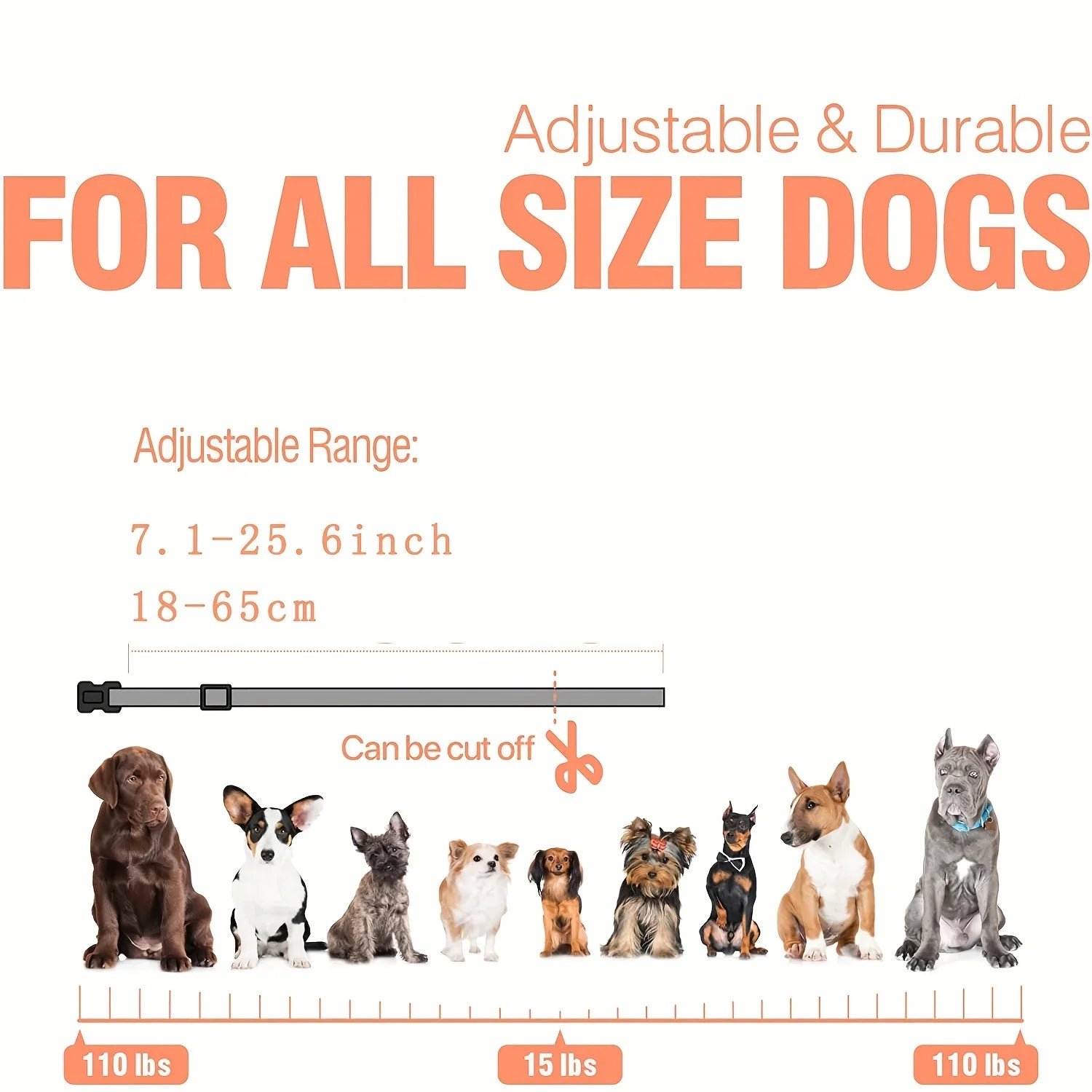 Collar de Entrenamiento Eléctrico para Perros