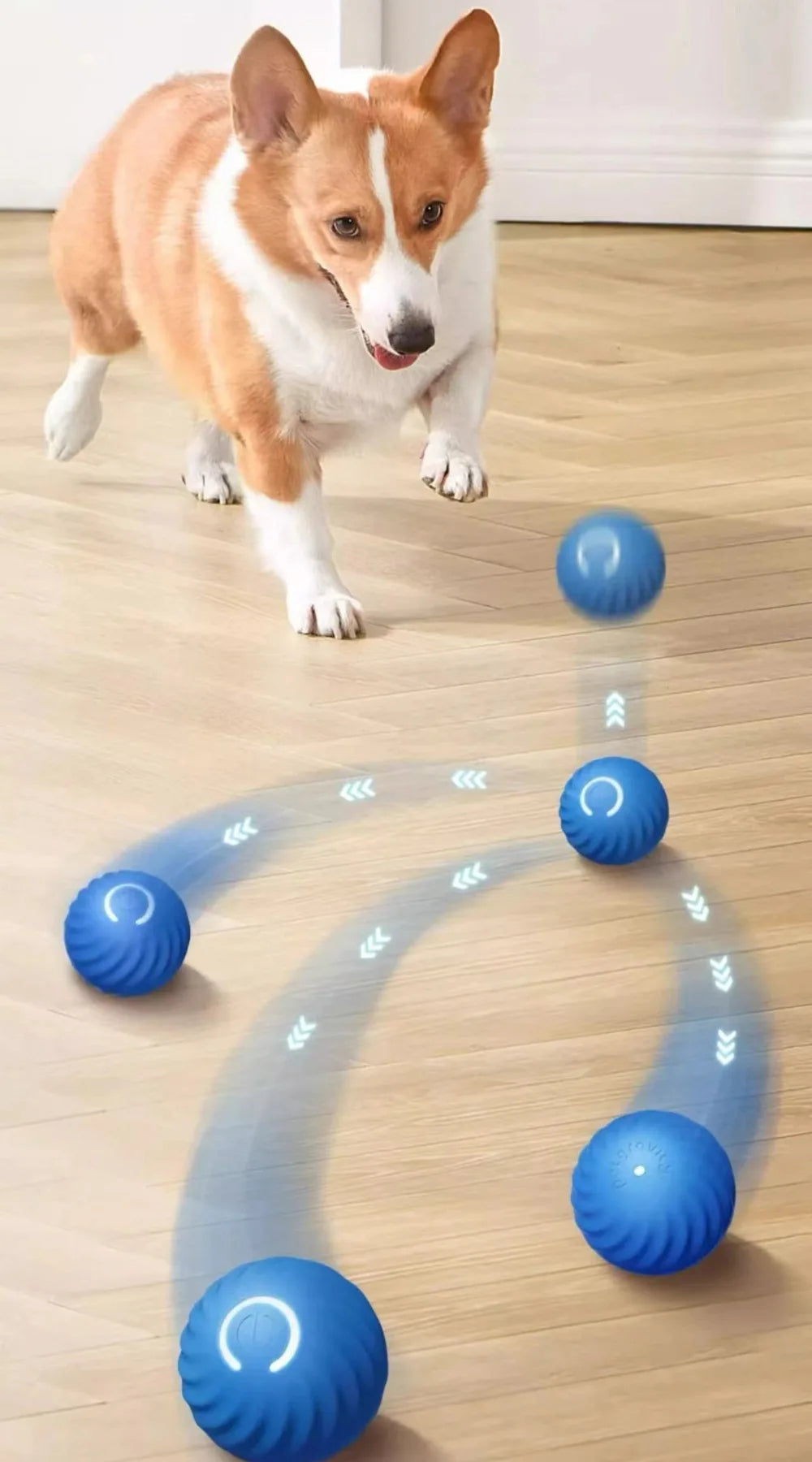 PawMotion Ball