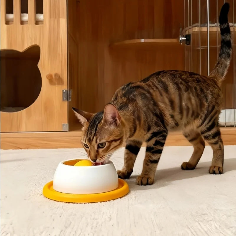 PlayPaw Interactive