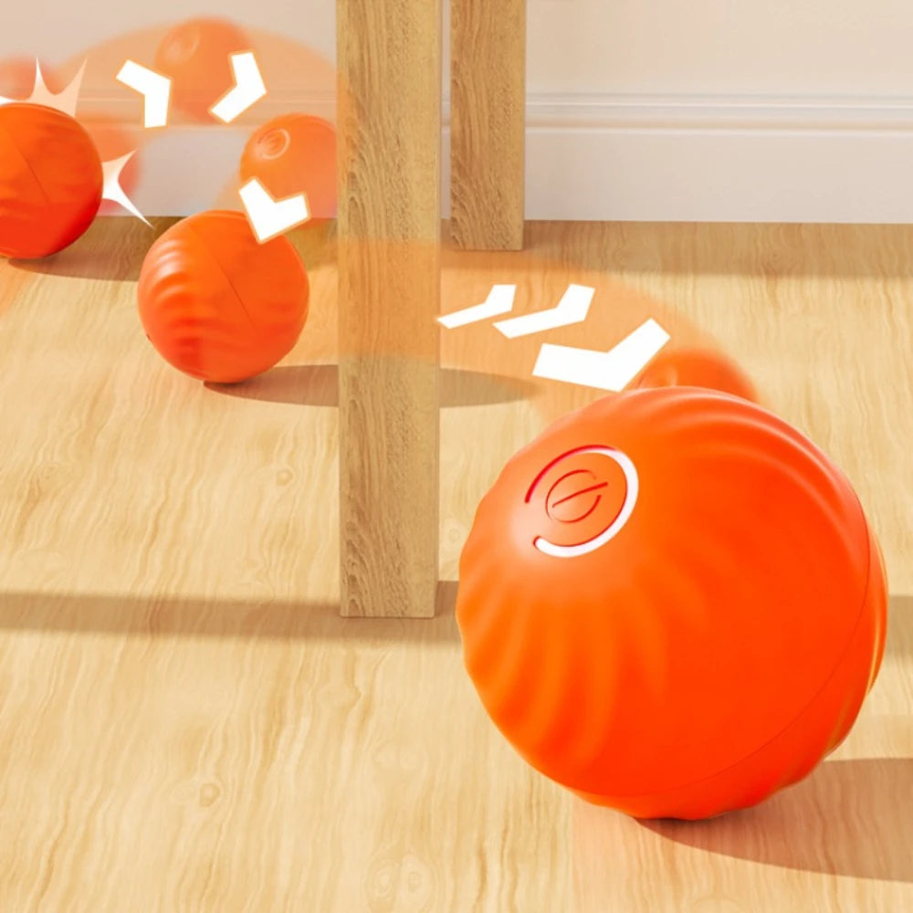 PawMotion Ball