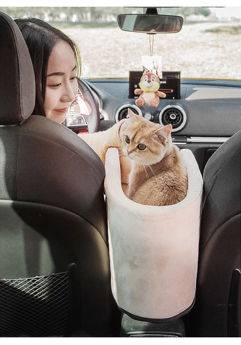 TravelPaw Comfort