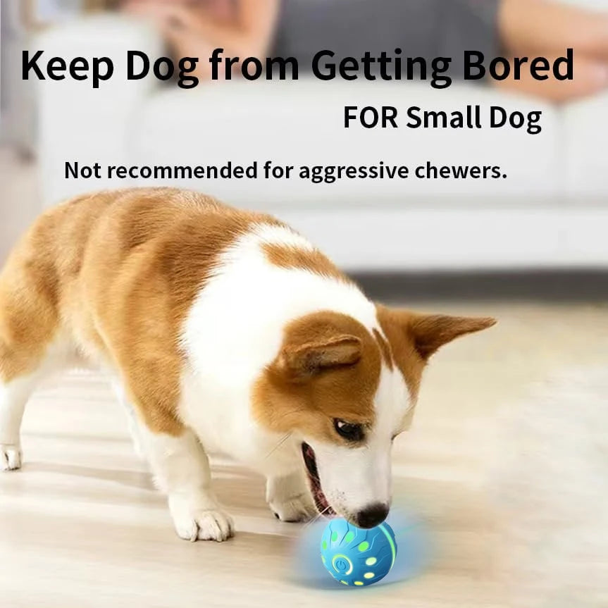 ActiveRoll Dog