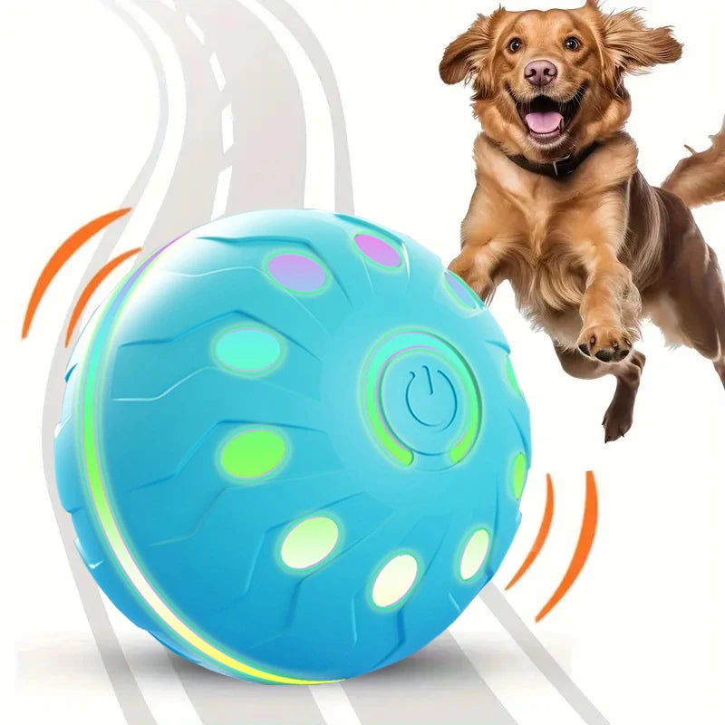 ActiveRoll Dog
