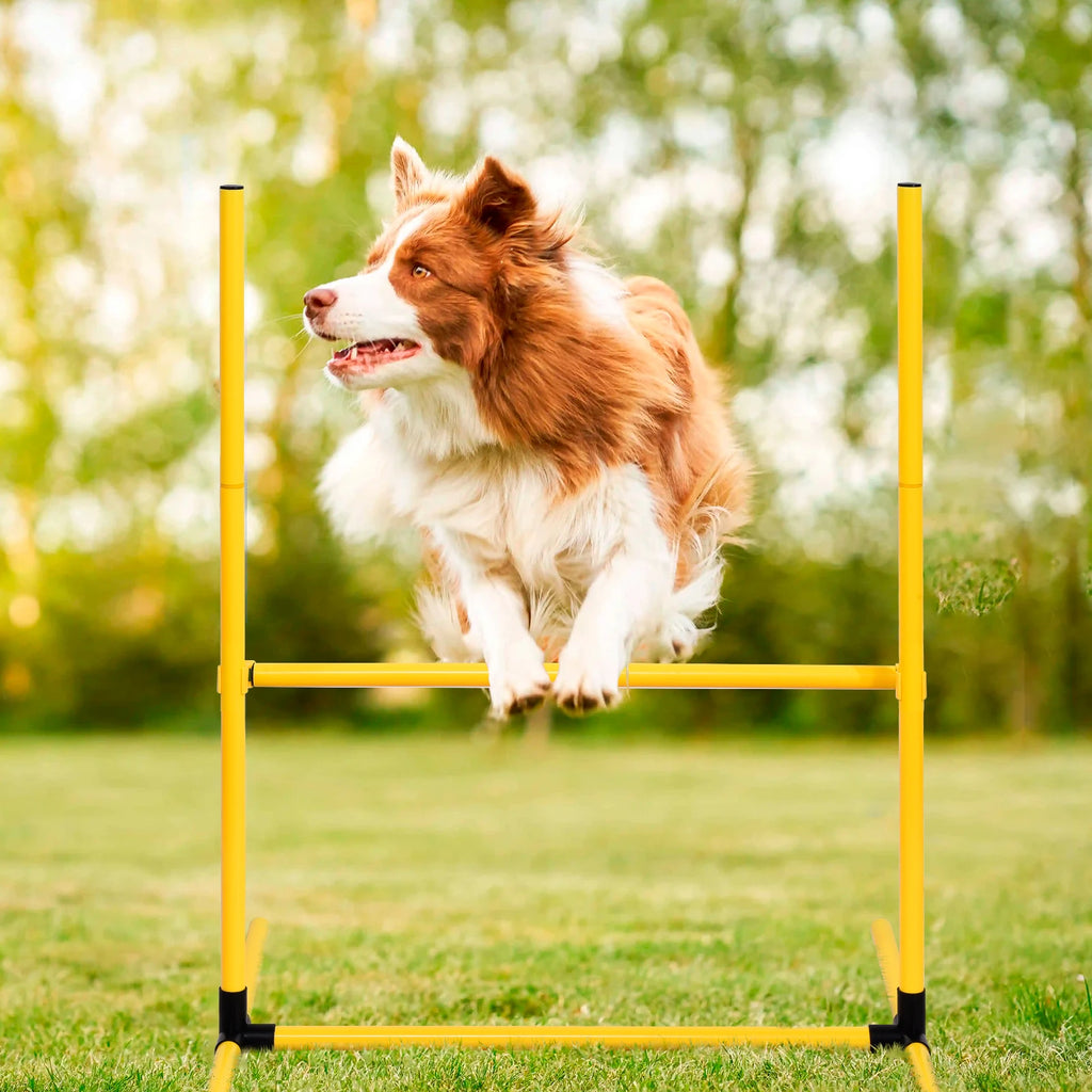 PatitaPop Agility Pro Kit