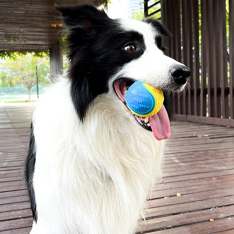 BiteBall Pro
