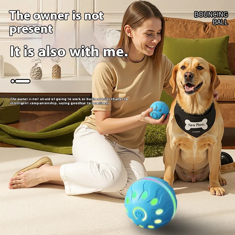 ActiveRoll Dog