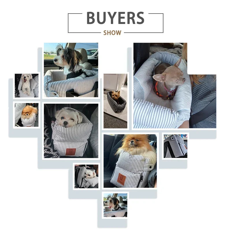 TravelPaw Comfort
