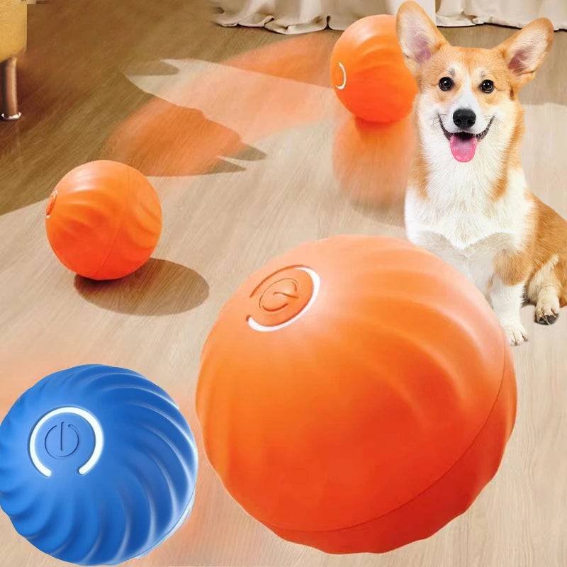 PawMotion Ball