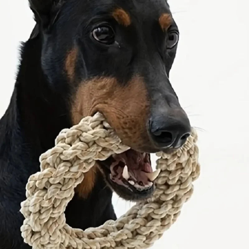 Juguete de Cuerda para Perros