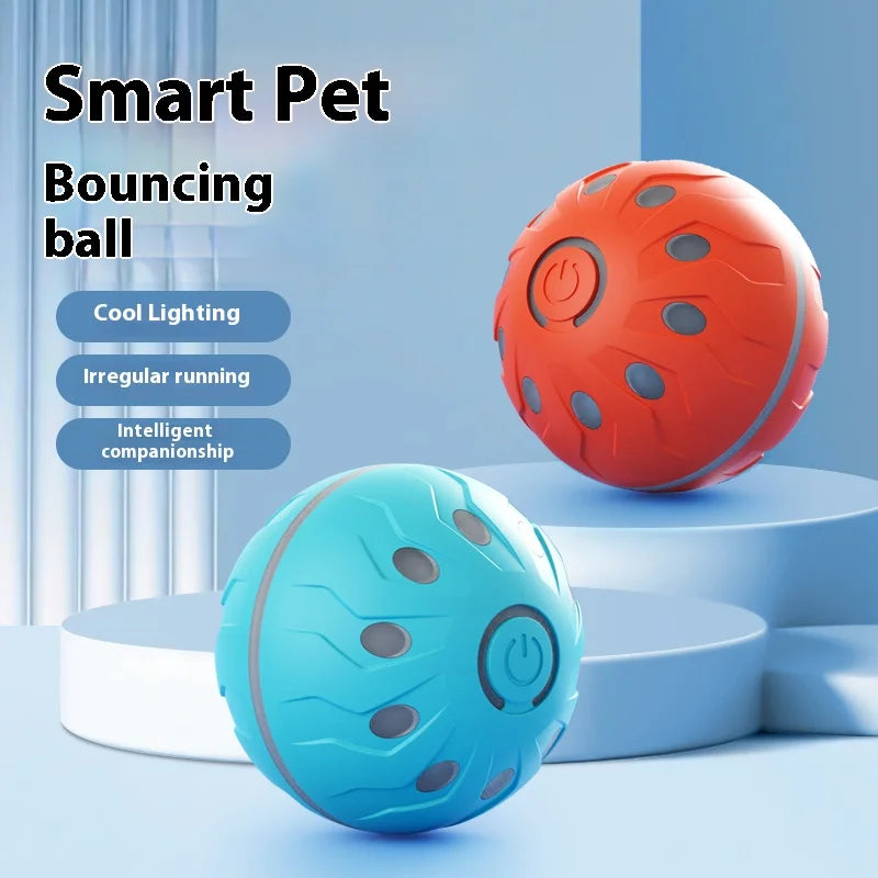 ActiveRoll Dog