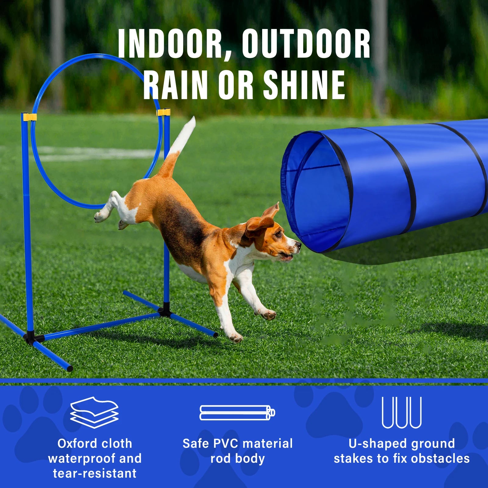 PatitaPop Agility Pro Kit
