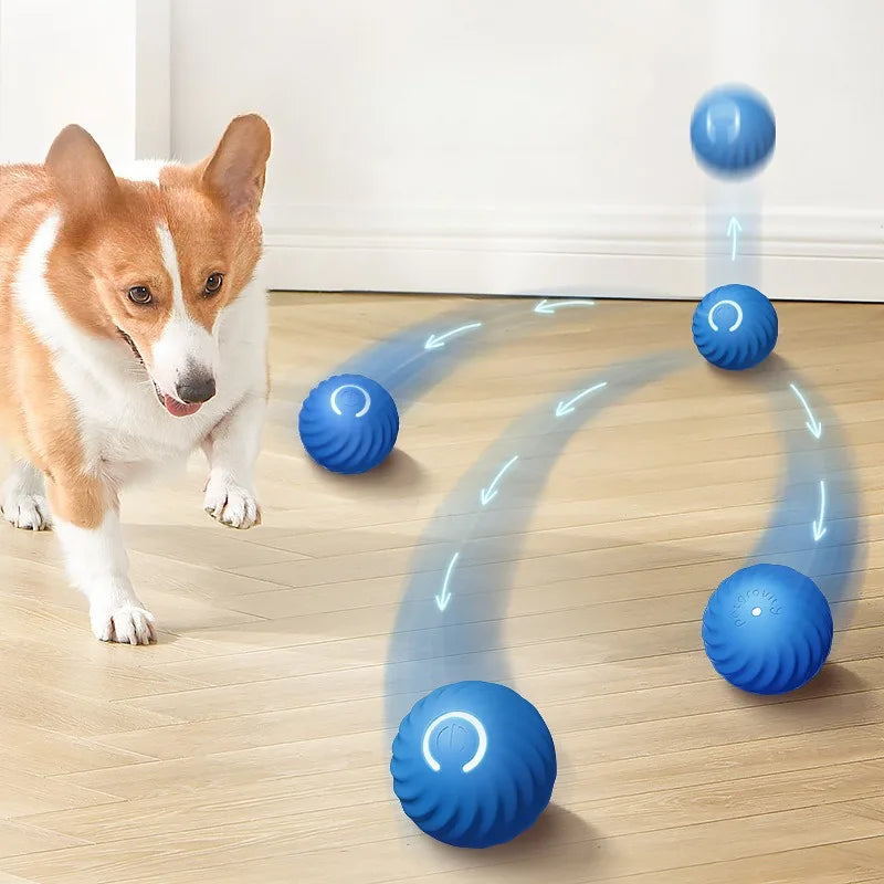 PawMotion Ball