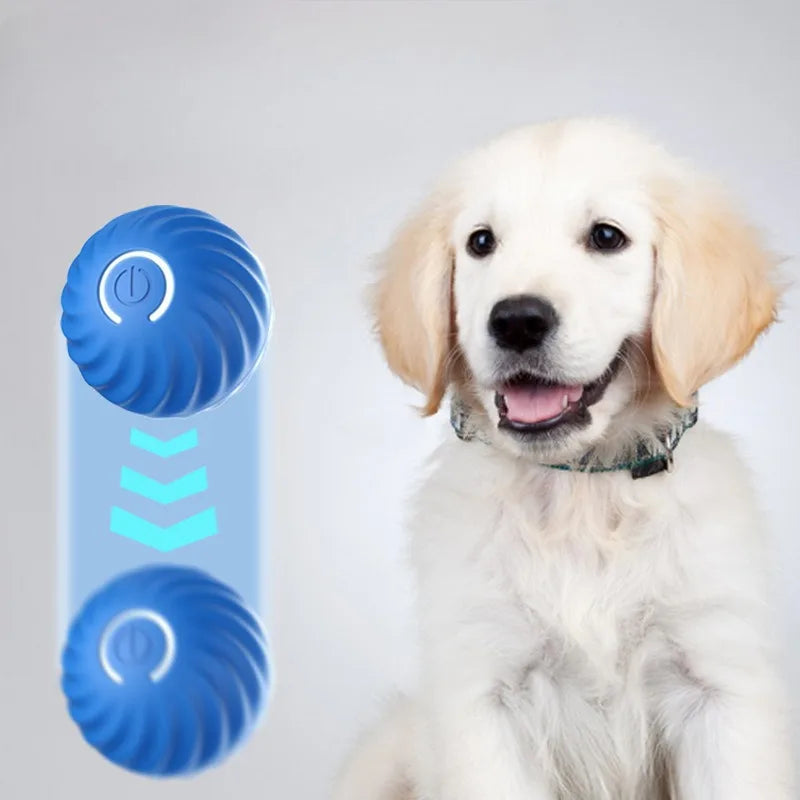 PawMotion Ball
