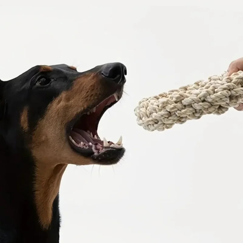 Juguete de Cuerda para Perros