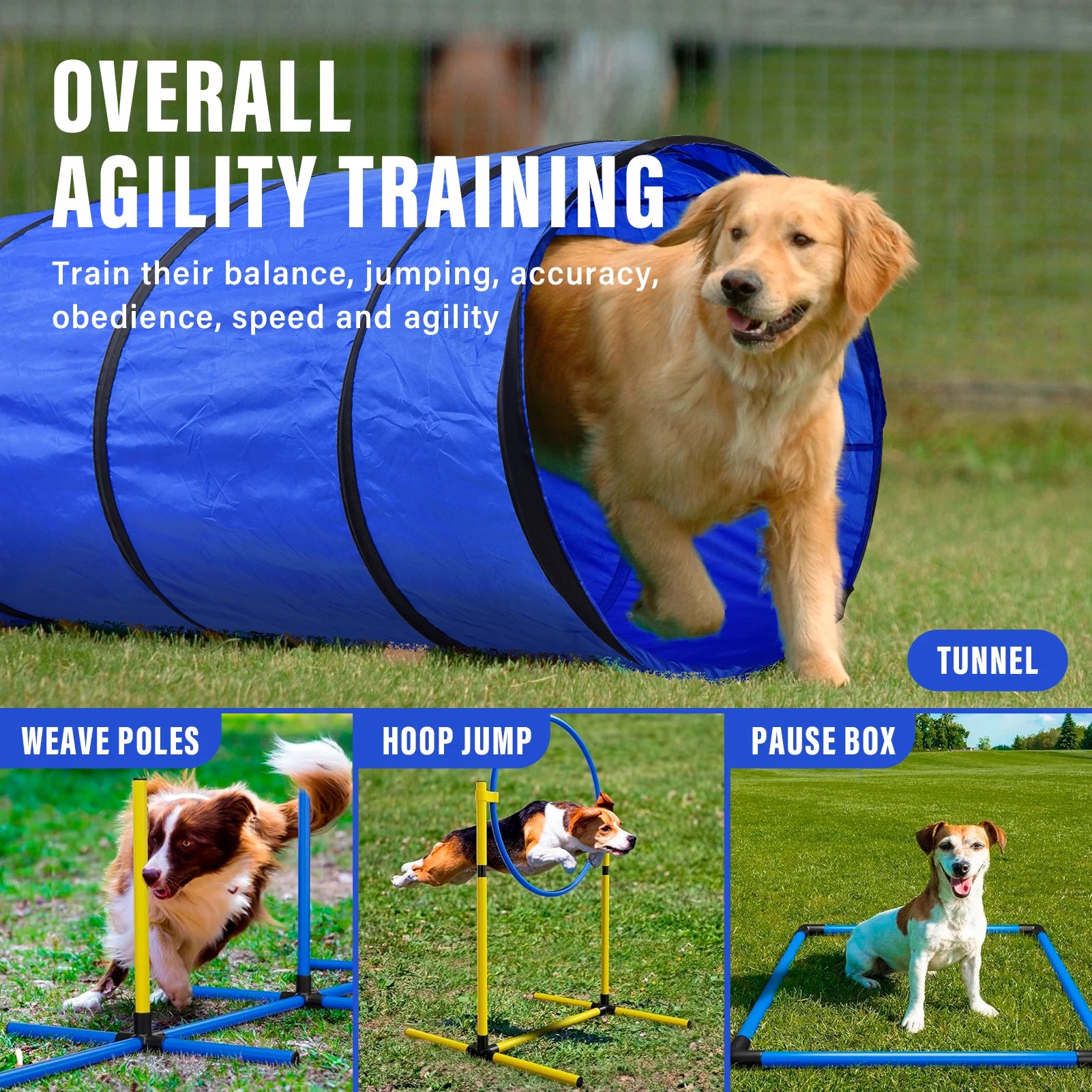 PatitaPop Agility Pro Kit