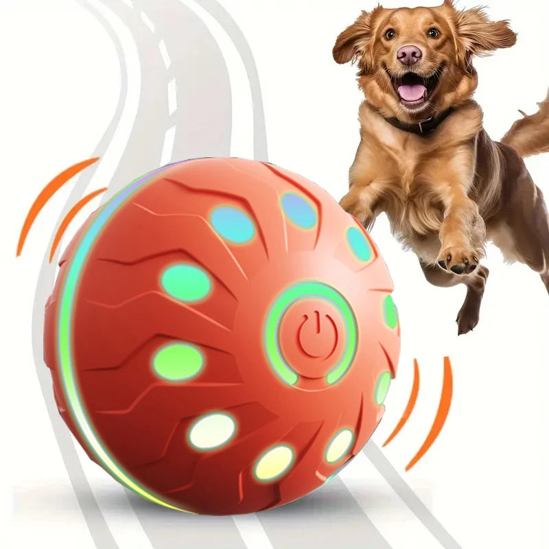 ActiveRoll Dog