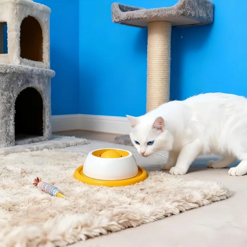 PlayPaw Interactive