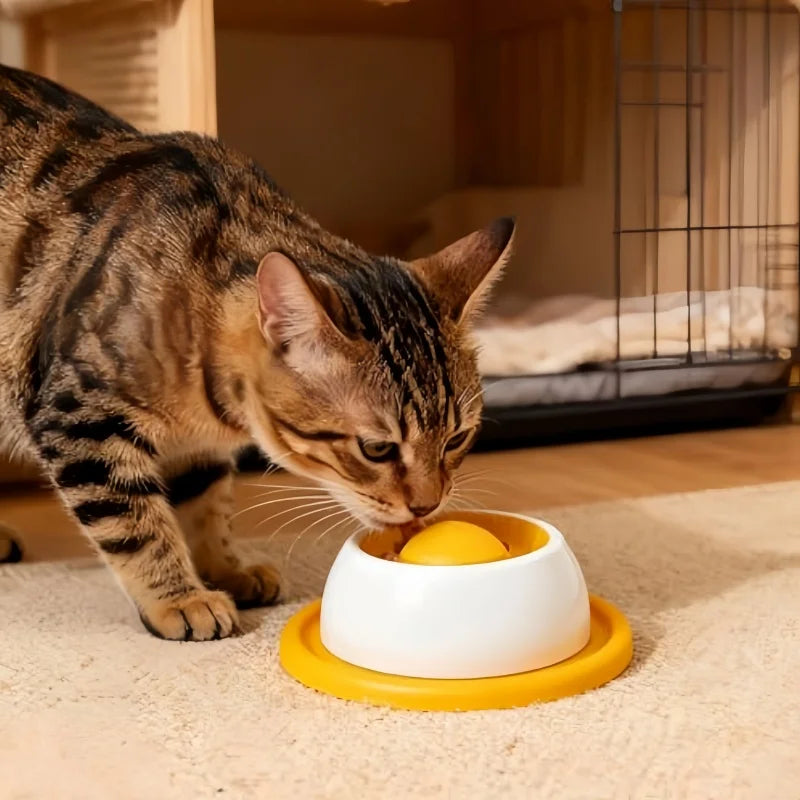 PlayPaw Interactive