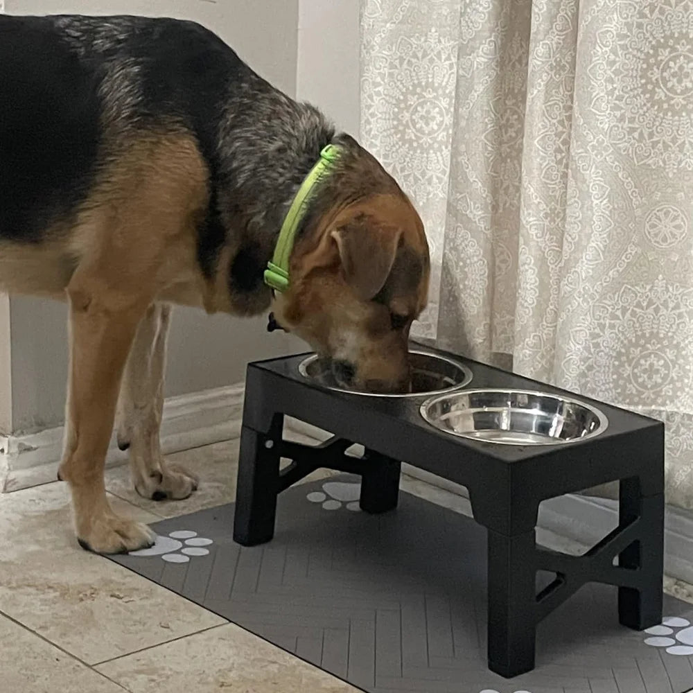 Comedero Elevado Ajustable con Sistema Slow Feeding