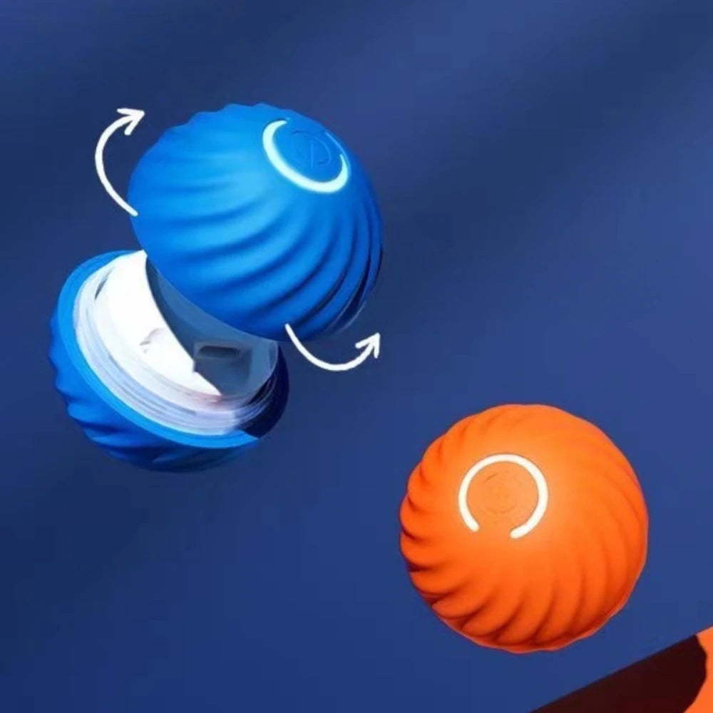 PawMotion Ball