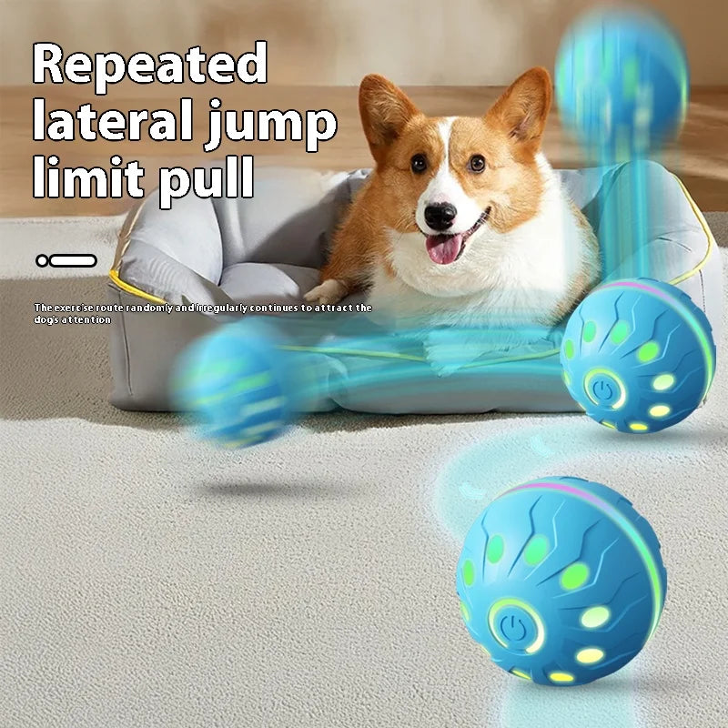 ActiveRoll Dog