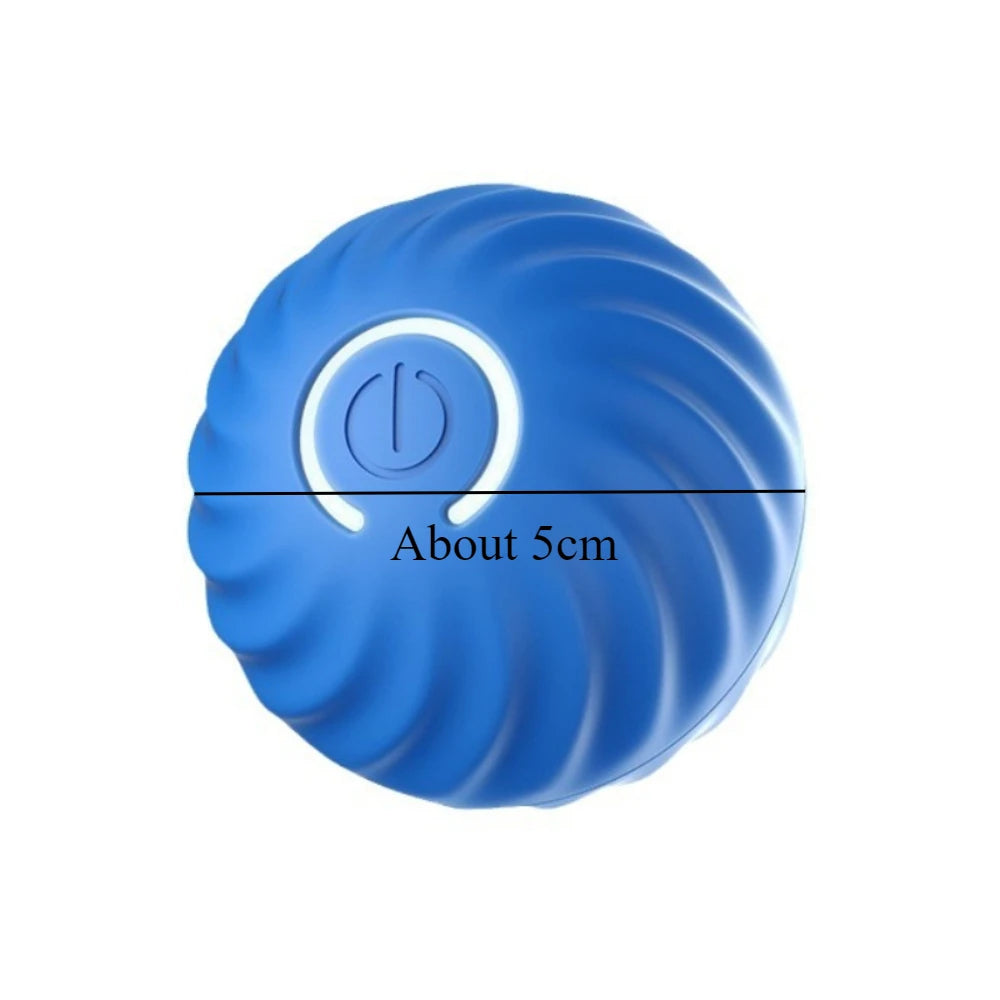 PawMotion Ball