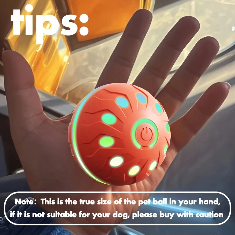 ActiveRoll Dog